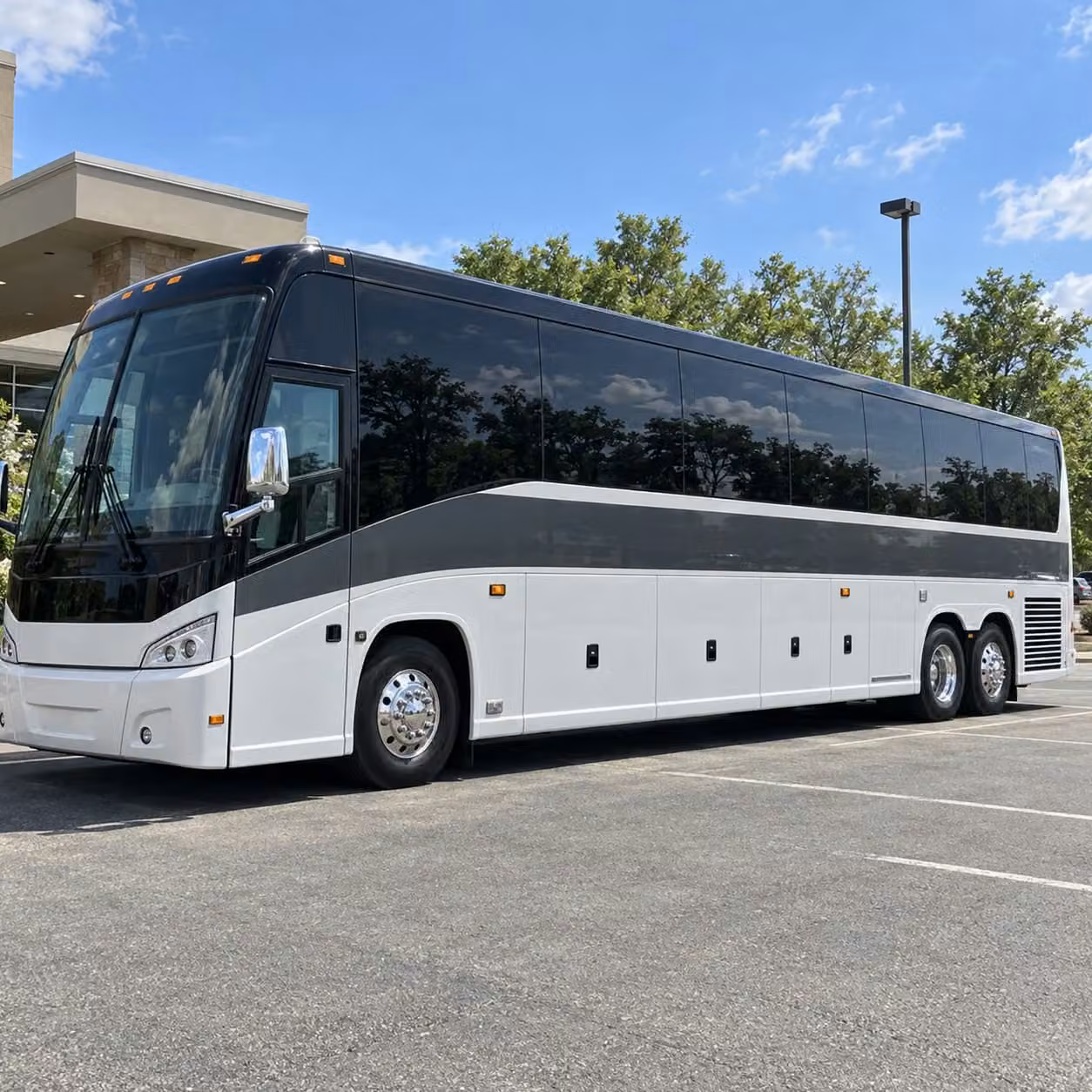 natural bridge caverns and aquarium field trip transportation in san antonio
