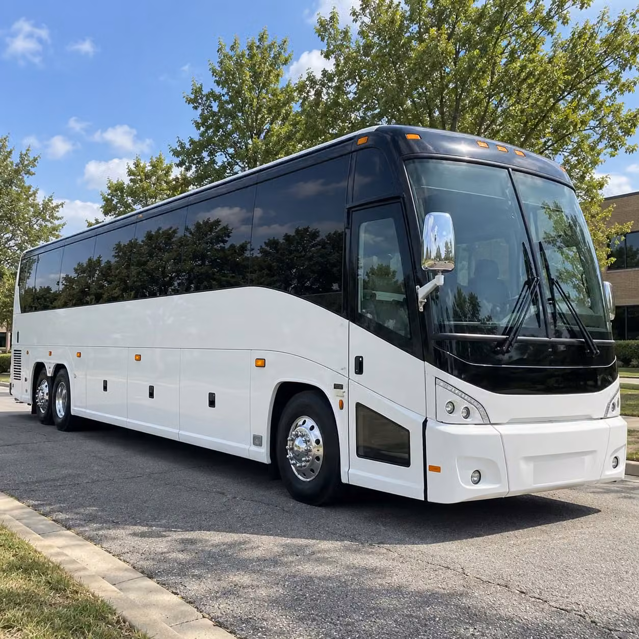 san antonio zoo field trip bus rentals for schools of all sizes